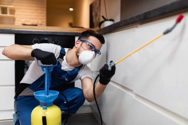 Best Affordable Pest Control Services  in Chickamau, GA