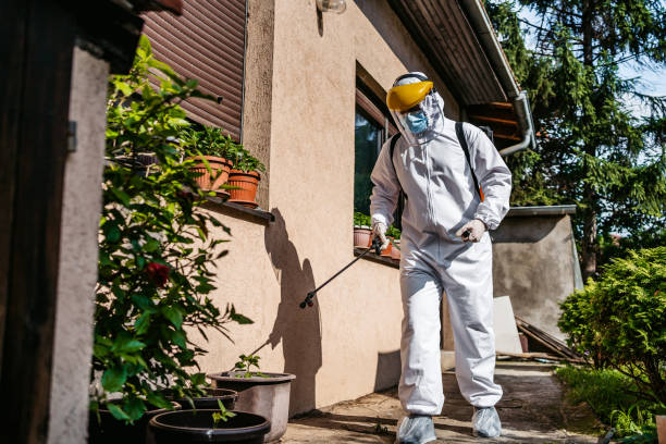 Best Ant Control Services  in Chickamau, GA