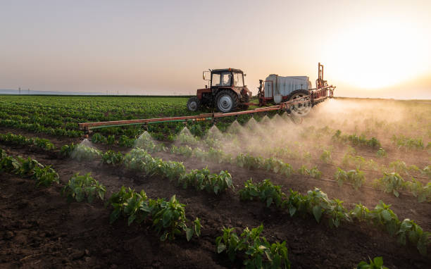 Best Commercial Pest Control Services  in Chickamau, GA