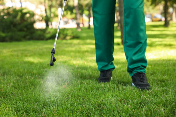 Best Affordable Pest Control Services  in Chickamau, GA