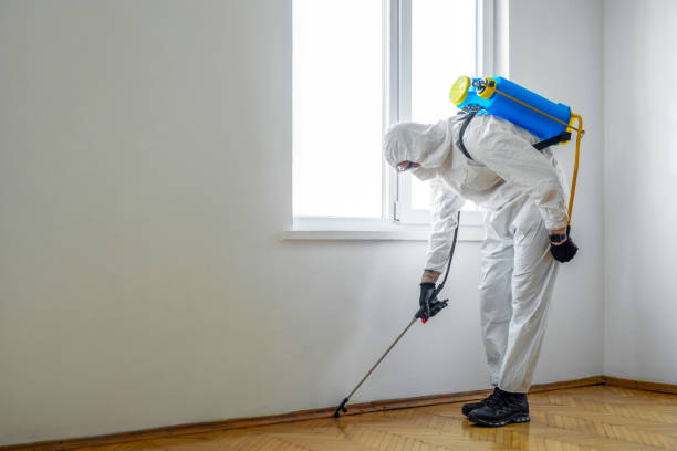 Best Exterminator Services  in Chickamau, GA