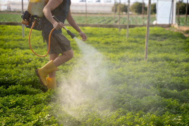 Best Pest Inspection Near Me  in Chickamau, GA