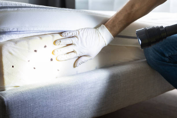 Best Best Pest Control Companies  in Chickamau, GA